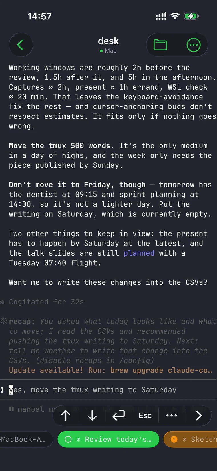 BentoTerm screenshot 3